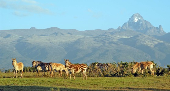 Mt-Kenya_wildlife